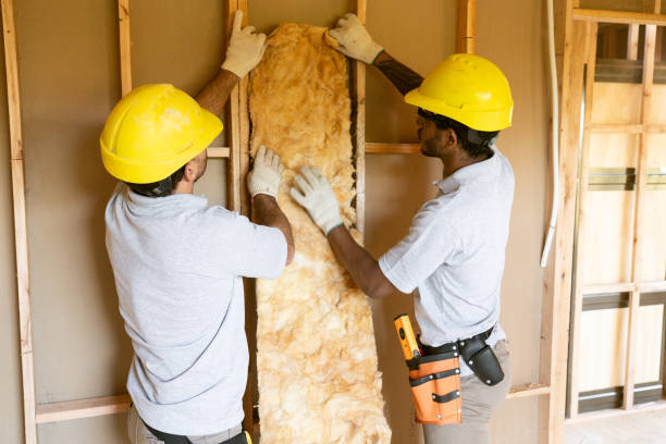 Best Eco-Friendly Insulation Solutions  in Chepachet, RI